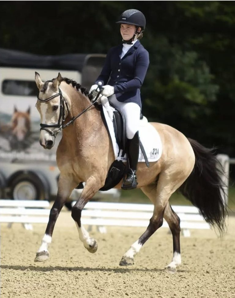 Reiterin des Reitstall Teuterhof. Sie reitet auf einem hellbraunen Pferd bei einer Turnierprüfung. Sie trägt weiße Dressur-Reitsachen.